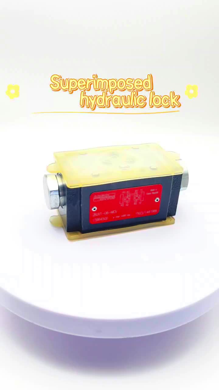 Direct Factory Sales-Rexroth Type Z2S6 Modular Design Hydraulic Pilot Check Valve Pilot Check Valve 1